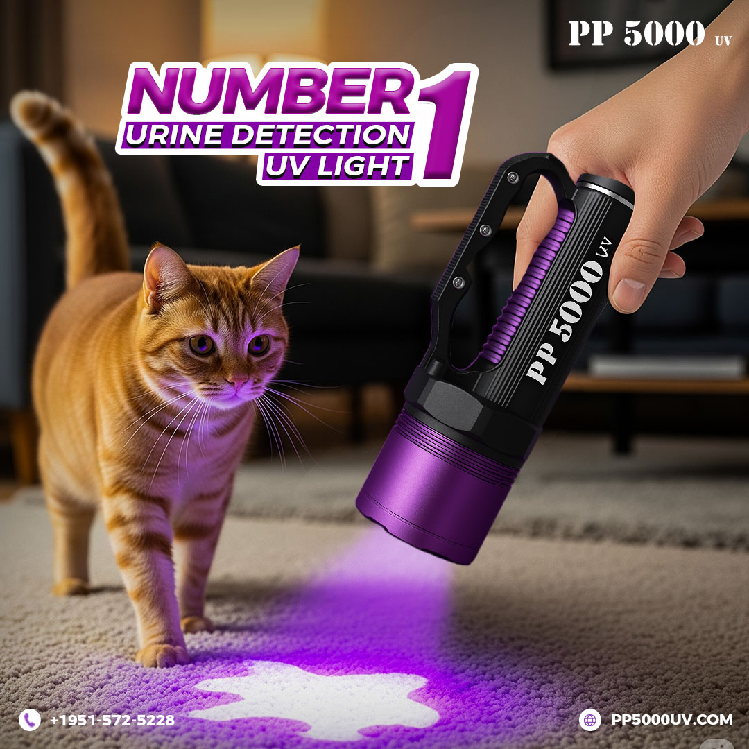 uv light 5